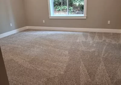Professional Cleaning Services